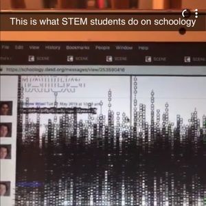 Meet your Posher, Noella